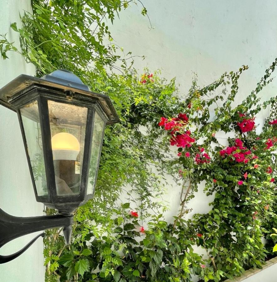 Gatu Premium Apartamento Palacio Oneto Con Jardin Privado " Preferente Mayores De 25 Anos Y Familias " El Puerto de Santa María Exteriör bild